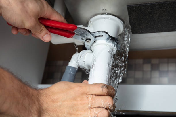 Best Mold removal after water damage  in Central Garage, VA
