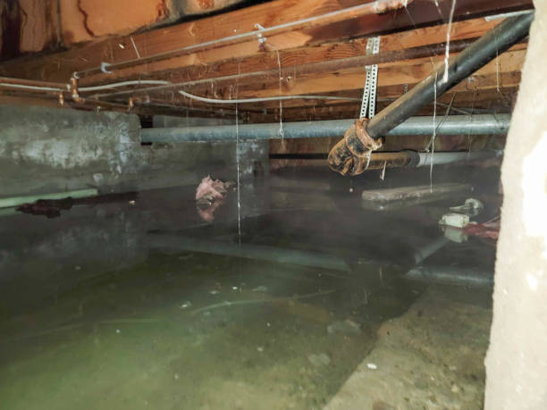 Best Water damage mitigation services  in Central Garage, VA