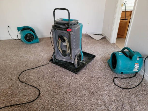 Best Fire Damage Restoration  in Central Garage, VA