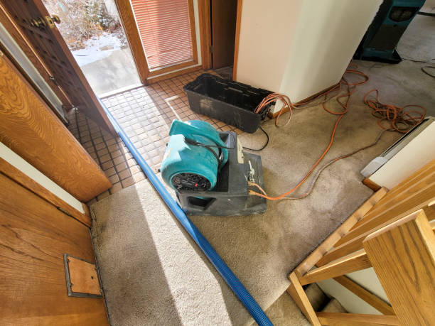 Best Water damage restoration near me  in Central Garage, VA