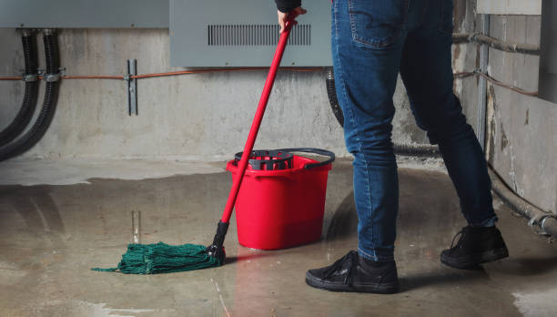 Best Water damage restoration experts  in Central Garage, VA