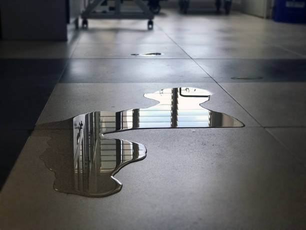 Best Basement water damage restoration  in Central Garage, VA