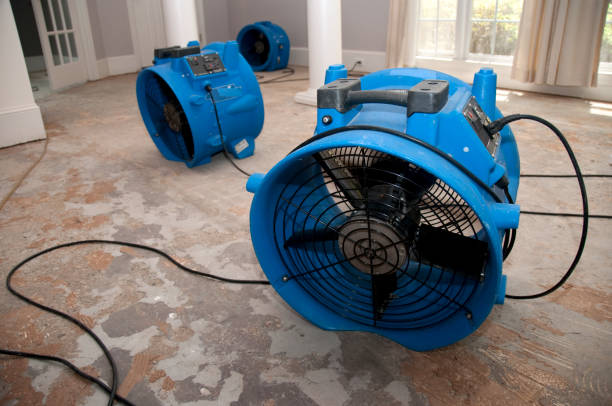 Best Water damage restoration near me  in Central Garage, VA