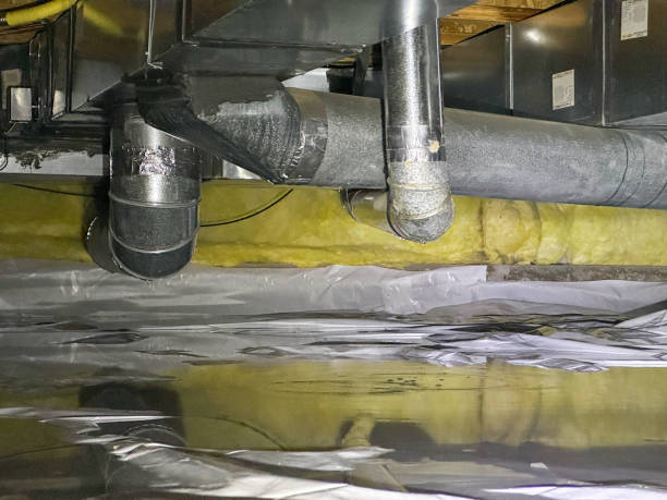 Best Mold removal after water damage  in Central Garage, VA