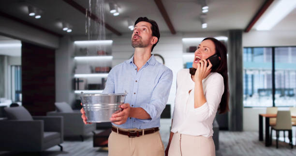 Best Water damage contractors near me  in Central Garage, VA
