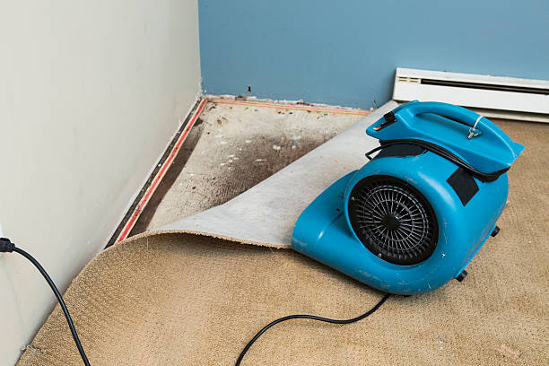 Best Flooded house restoration  in Central Garage, VA